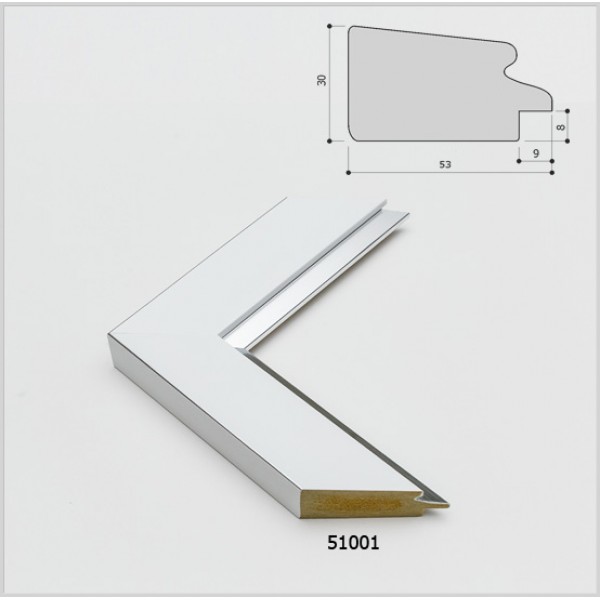 Серия 51000 (1)