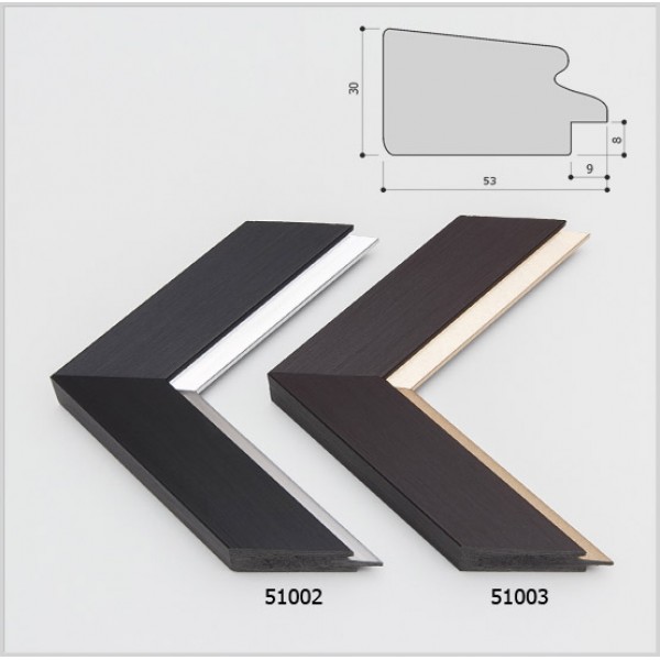 Серия 51000 (2-3)