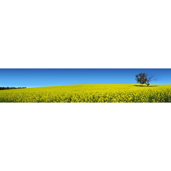3864