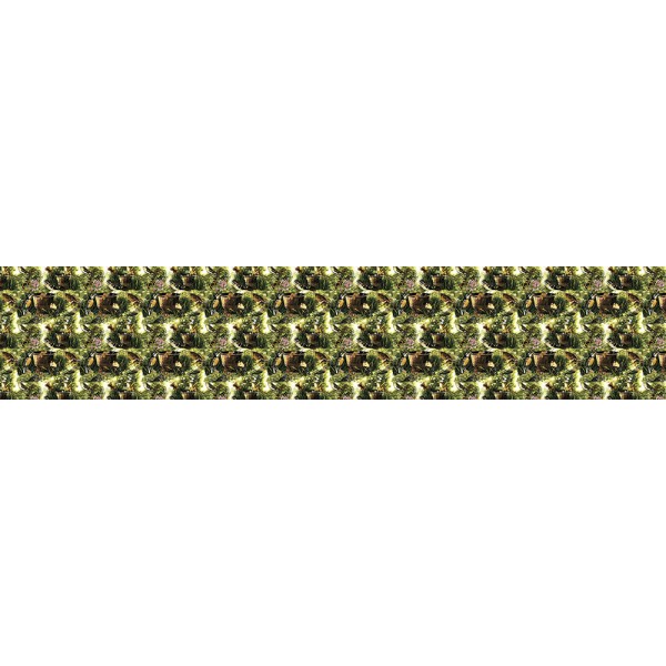 1207